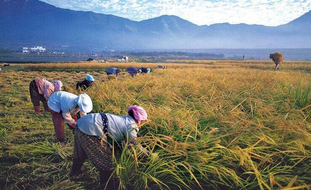 װȫ¼lҵˮsȫԴԴ^ѿƷ|(zh)