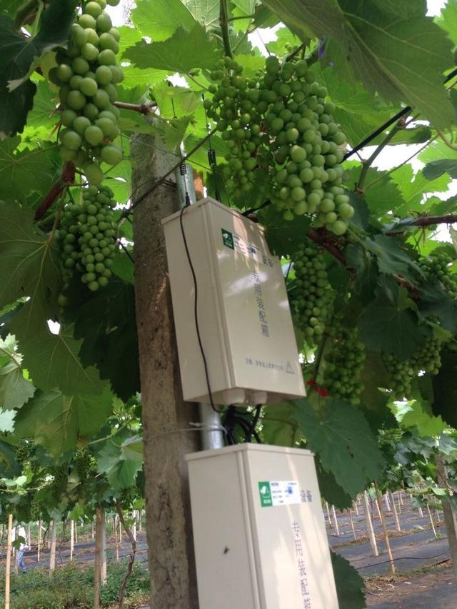 �ďU���ķ�֮�������ш@����Ҳ�ܞ���I(y��)���^����(y��ng)��(y��u)�|(zh��)��ꖹ�õ��