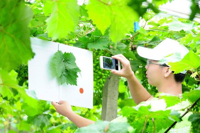 �ďU���ķ�֮�������ш@����Ҳ�ܞ���I(y��)���^����(y��ng)��(y��u)�|(zh��)��ꖹ�õ��