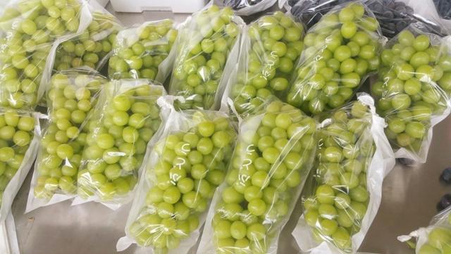 �ďU���ķ�֮�������ш@����Ҳ�ܞ���I(y��)���^����(y��ng)��(y��u)�|(zh��)��ꖹ�õ��