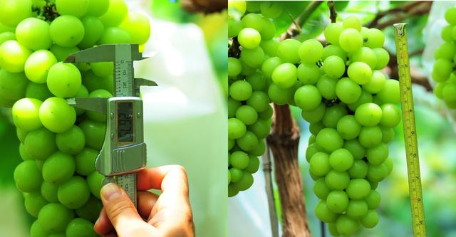 �ďU���ķ�֮�������ш@����Ҳ�ܞ���I(y��)���^����(y��ng)��(y��u)�|(zh��)��ꖹ�õ��