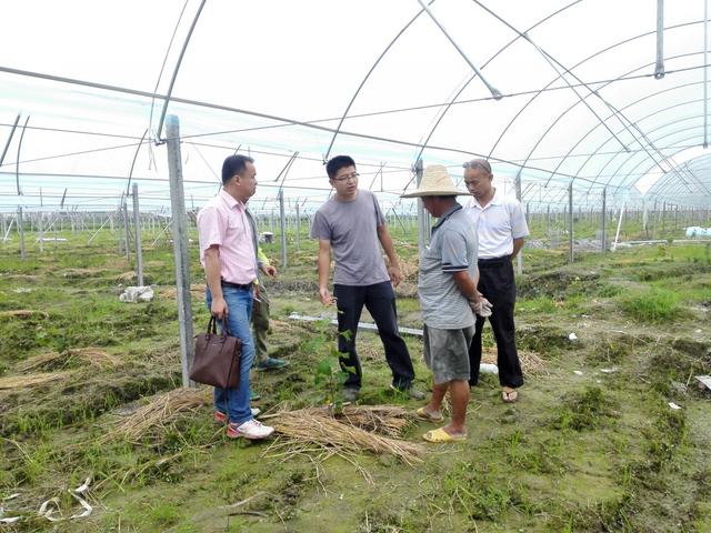 �ďU���ķ�֮�������ш@����Ҳ�ܞ���I(y��)���^����(y��ng)��(y��u)�|(zh��)��ꖹ�õ��