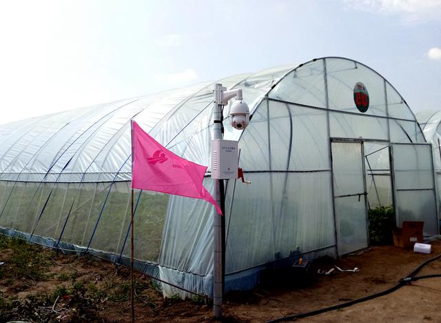 ЇW(wng)y읙_RNܷNֲ