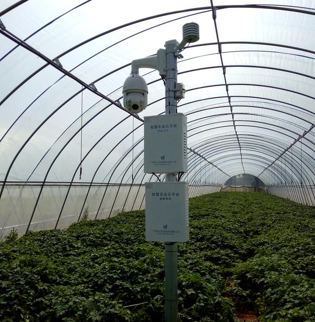 ЇW(wng)y읙_RNܷNֲ