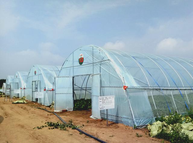 ЇW(wng)y읙_RNܷNֲ