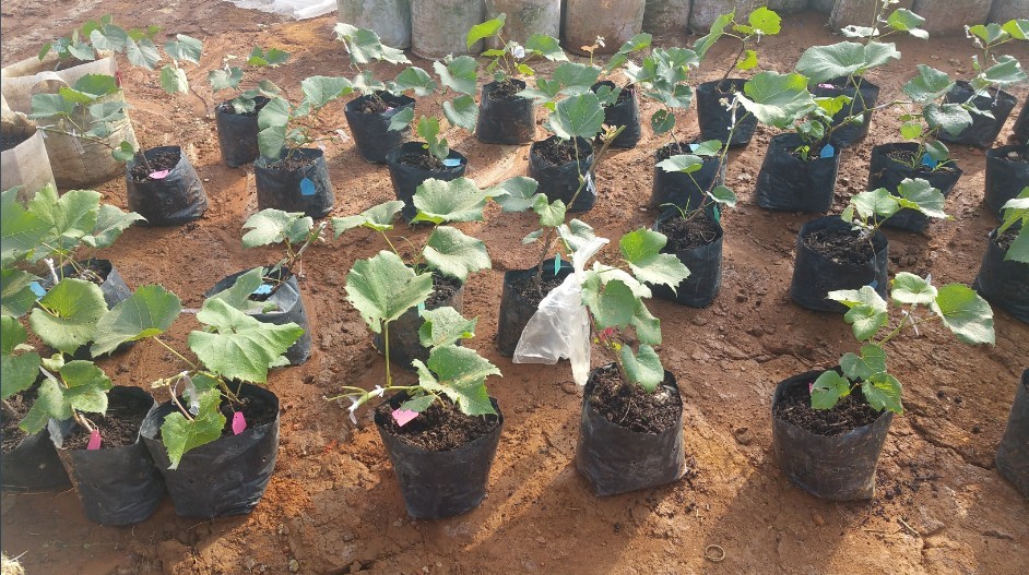 a(chn)I(y)ؚʾǻr(nng)I(y)˜ʻa(chn)