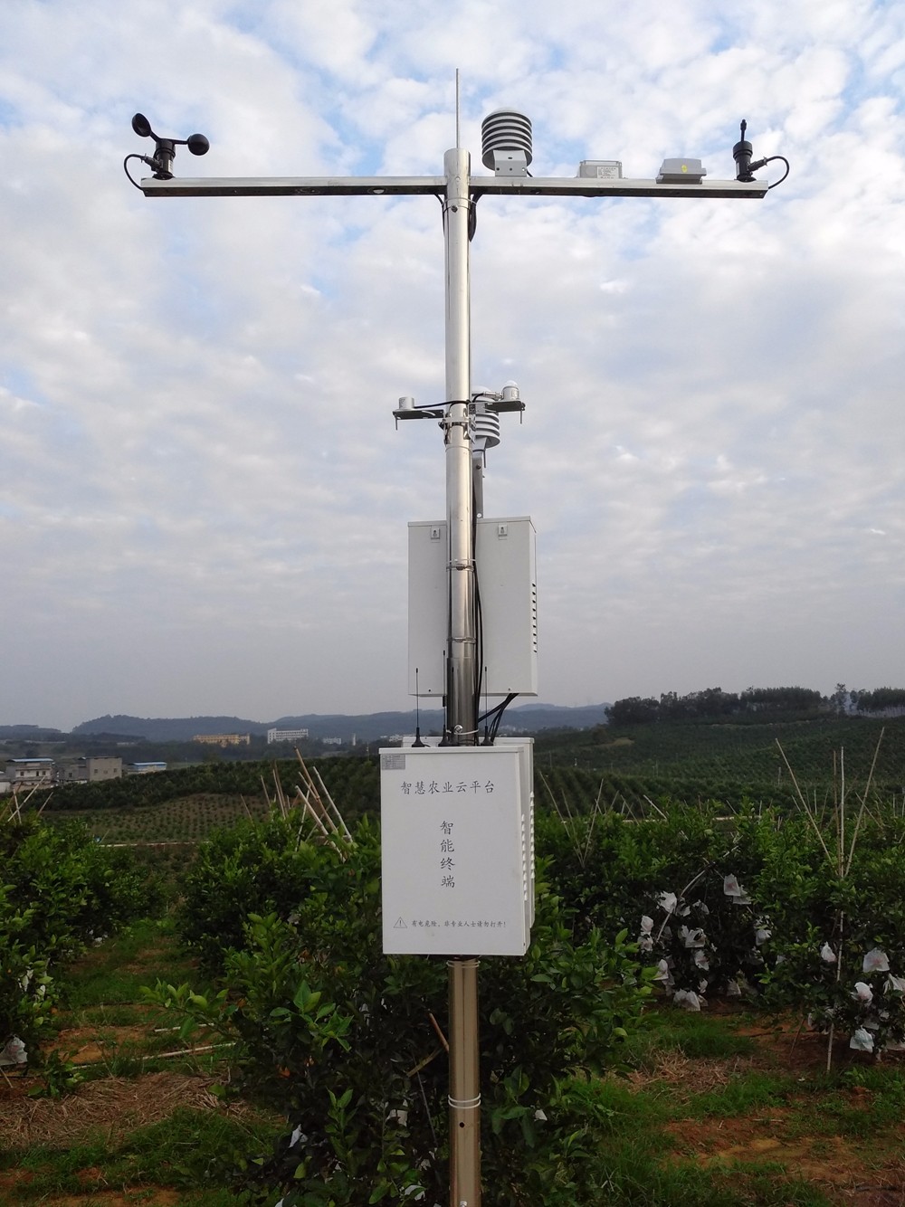 廣西沃柑利用智慧農(nóng)業(yè)助力精細(xì)品控 廣西沃柑利用智慧農(nóng)業(yè)助力精細(xì)品控