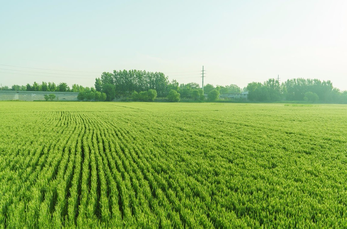 vʷӛĿyS^(q)ǻr(nng)I(y)Ŀ܇ɞһ