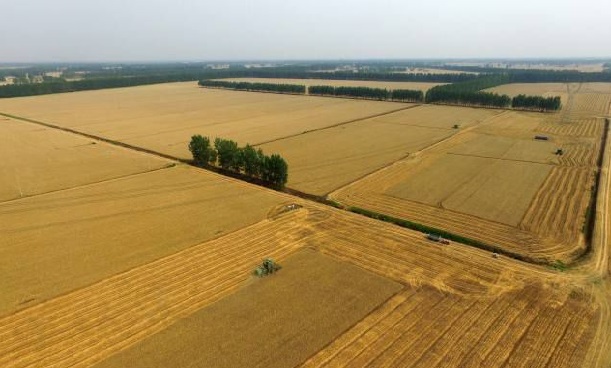 vʷӛĿyS^(q)ǻr(nng)I(y)Ŀ܇ɞһ