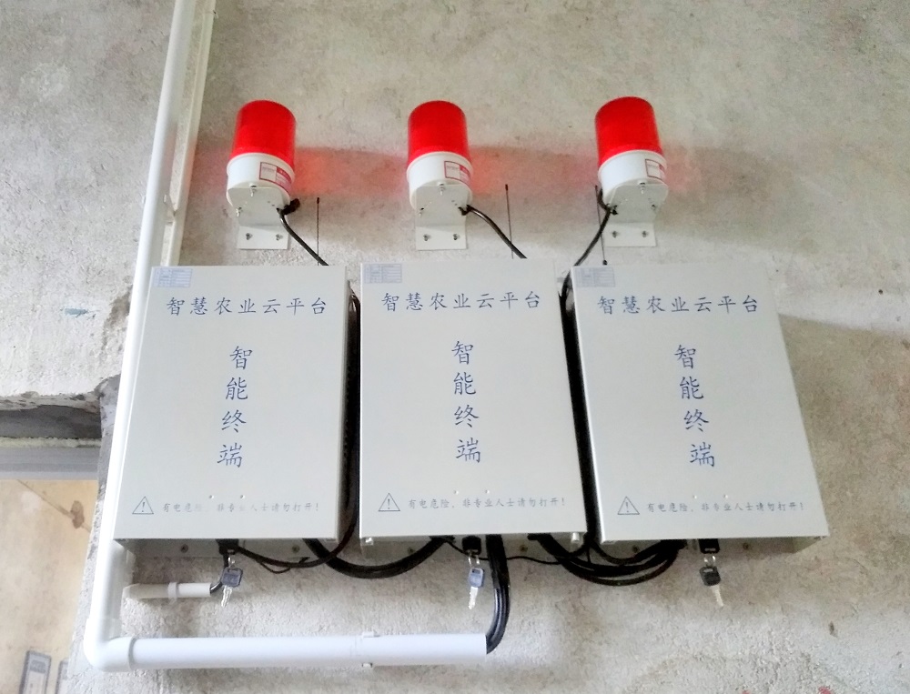 vʷӛĿyS^(q)ǻr(nng)I(y)Ŀ܇ɞһ