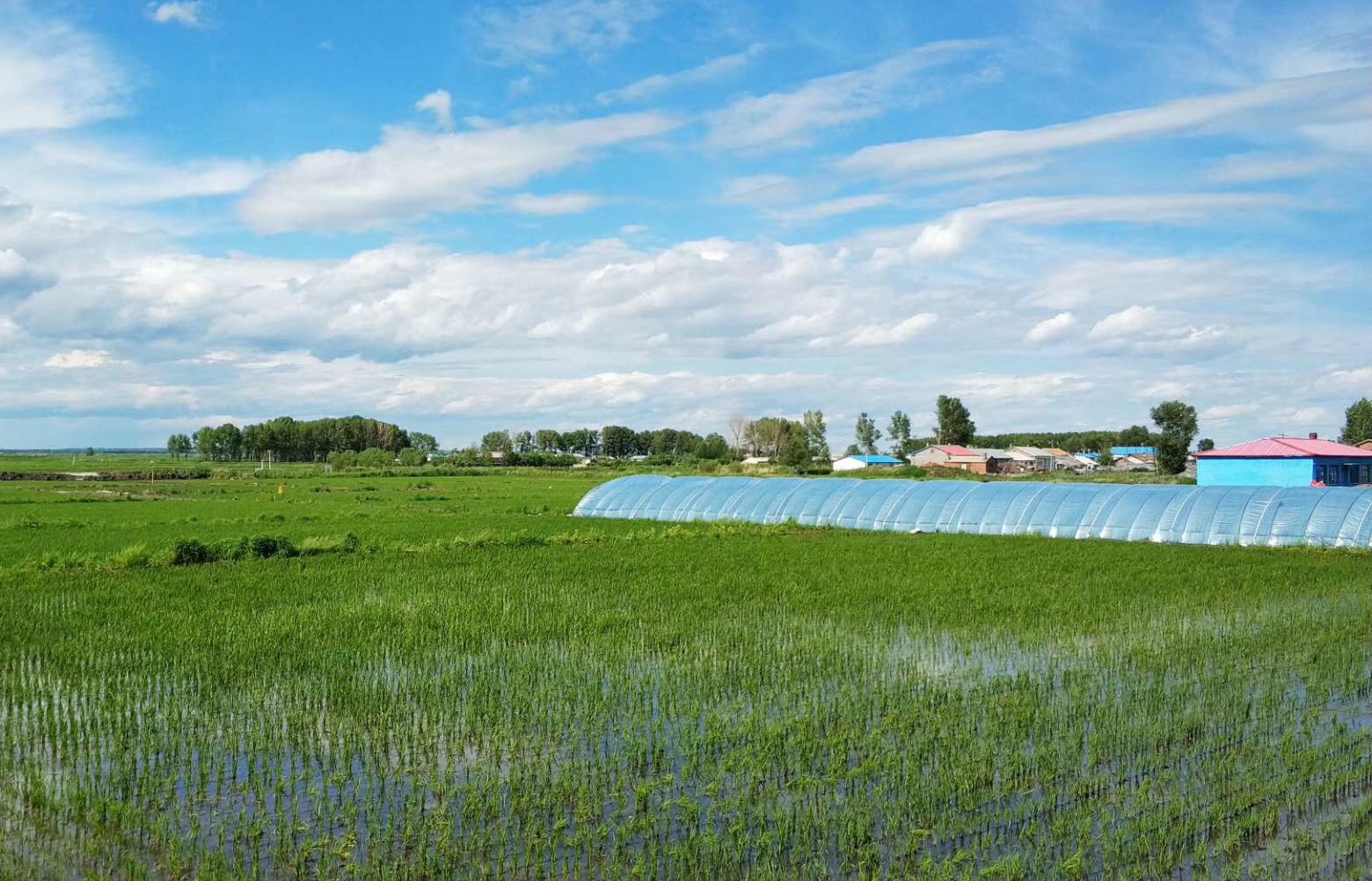 ˮƿƼǻr(nng)I(y)g(sh)Ma(chn)ʾ