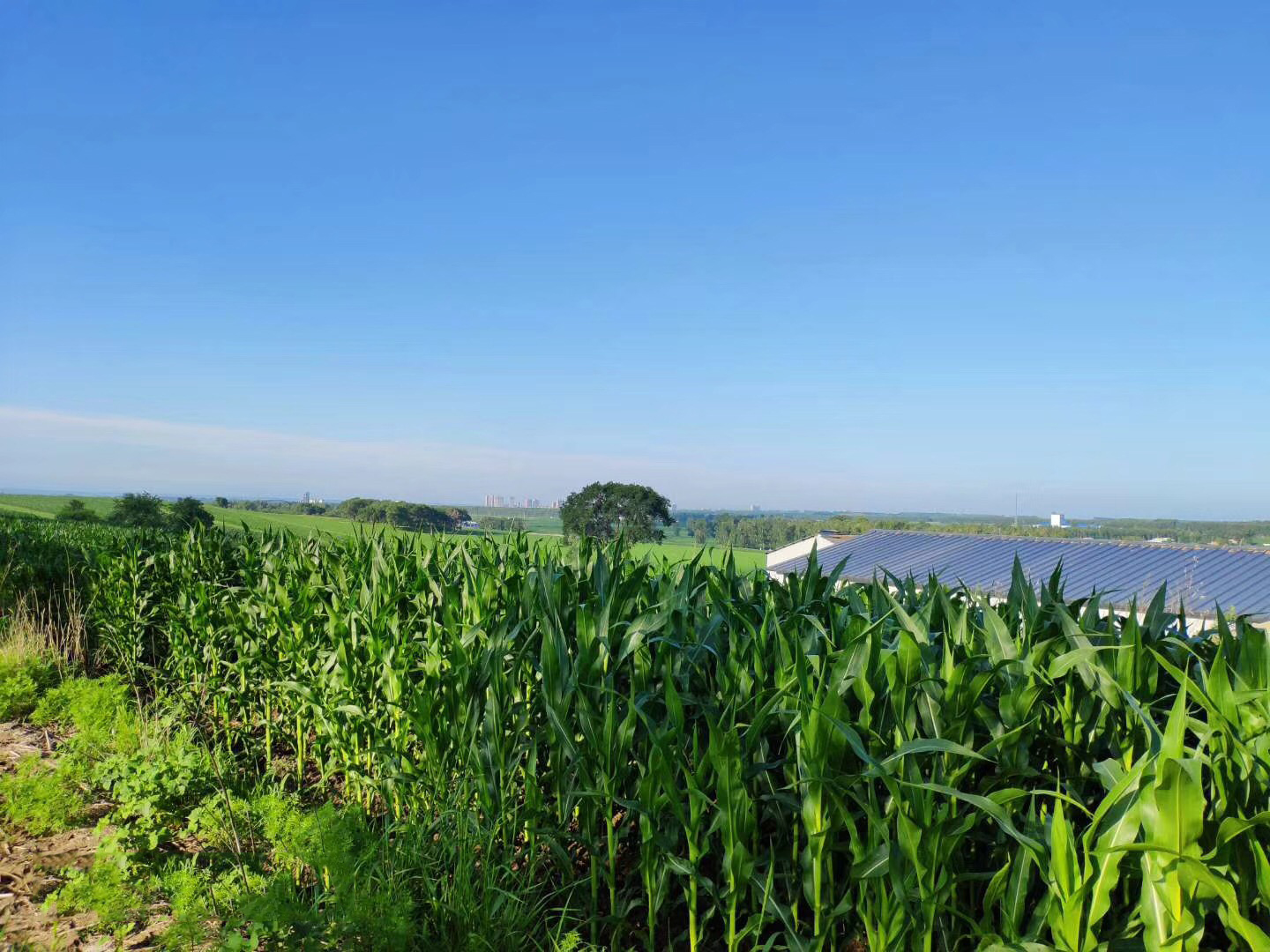 ˮƿƼǻr(nng)I(y)g(sh)Ma(chn)ʾ