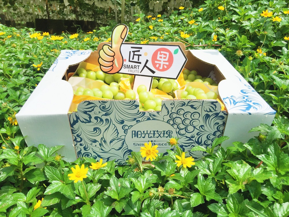 �읙�������a(ch��n)��(sh��)�(y��n)���؏ķN���N����Ʒ�|(zh��)ꖹ�õ���ϼ�����̳�