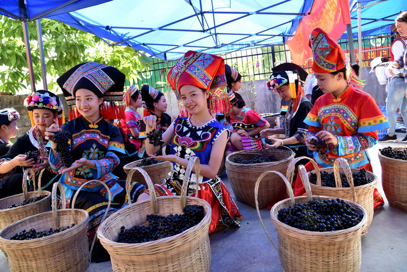 Vr(nng)a(chn)ƷԴ_Nͨ·Ұɽ߳ɽ