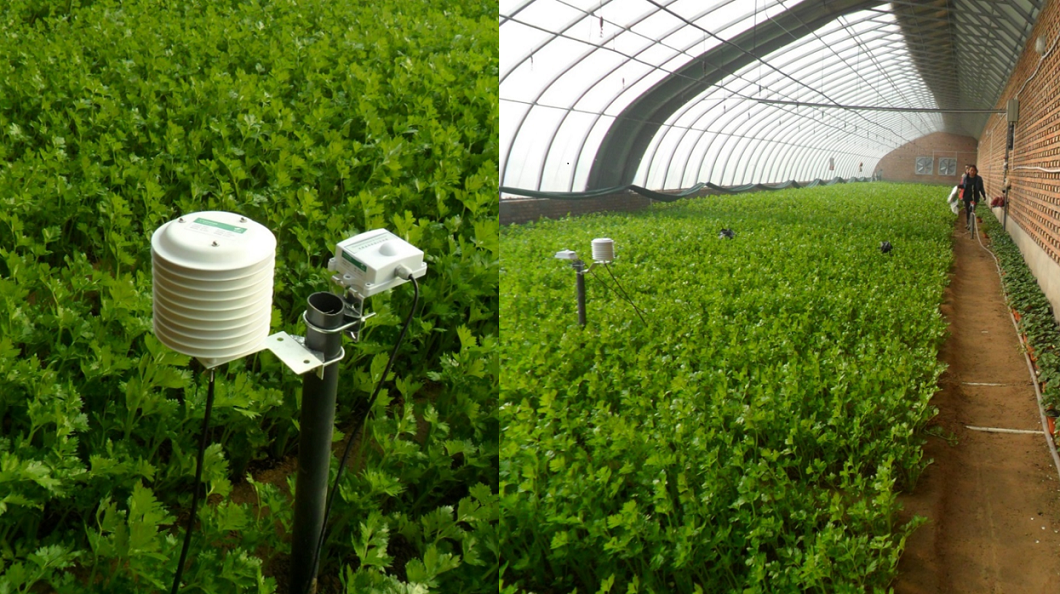 CҴF(xin)r(nng)I(y)ʾ@_(ki)ǻr(nng)I(y)(bio)(zhn)Nֲ