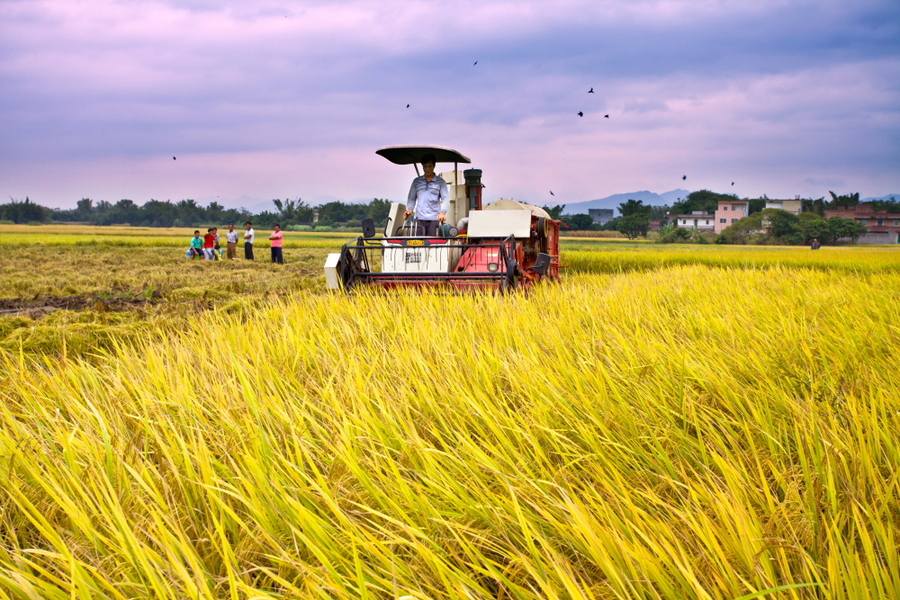 ʲôǻr(nng)I(y)읙ķ(w)سɹʾ