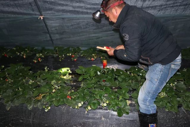 ʹݮֵc(sh)ıǈ(jin)ƵĘ(bio)(zhn)