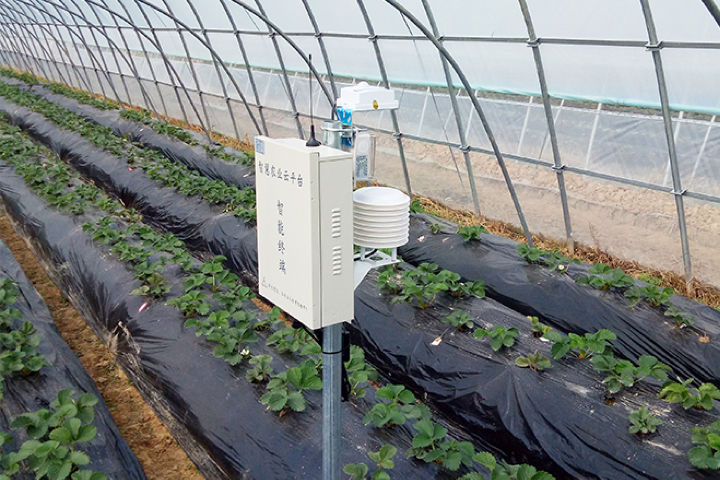 ʹݮֵc(sh)ıǈ(jin)ƵĘ(bio)(zhn)