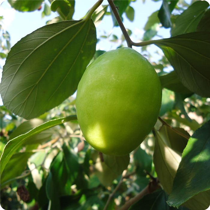 @B(yng)ȫhġԪ\Ϙ˜ʻD¸֮·