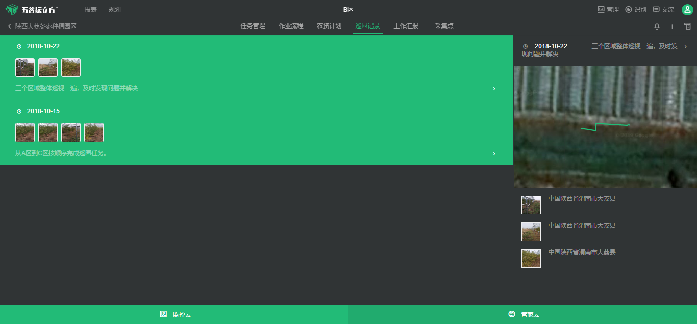 大荔冬棗 大荔冬棗