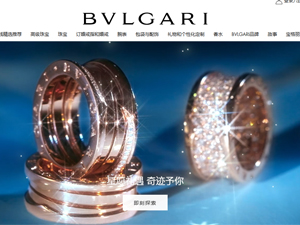 �������W(w��ng)վ���O