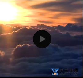 ƷW(wng)W(wng)վO(sh)