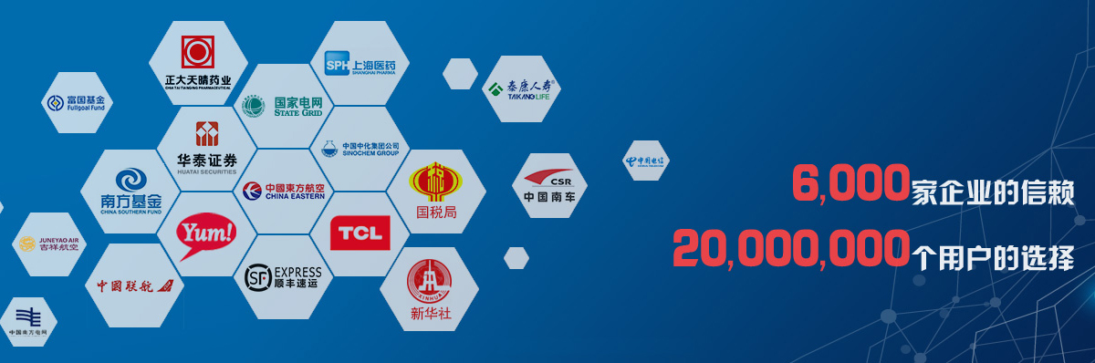 企業(yè)信息化