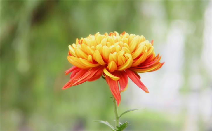 深度探究:網(wǎng)站用戶體驗(yàn)受哪些因素影響1