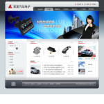 汽車用品網(wǎng)站