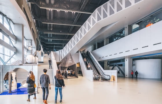 �m�È���-����ֱ��