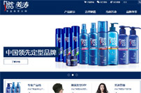 美濤專業(yè)美發(fā)大師網(wǎng)站建設(shè)