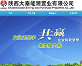大秦能源置業(yè)網(wǎng)站建設(shè)