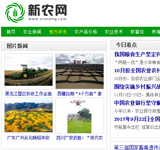 新農(nóng)網(wǎng)網(wǎng)站建設(shè)