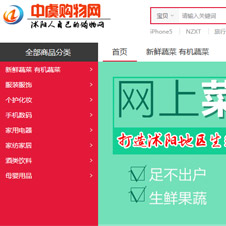 中虞購物網(wǎng)網(wǎng)站建設(shè)