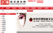 武漢演出網(wǎng)網(wǎng)站建設(shè)