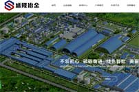 廣西盛隆冶金有限公司網(wǎng)站建設(shè)