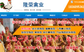 隆榮禽業(yè)網(wǎng)站建設